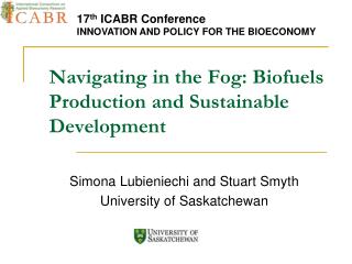 Navigating in the Fog: Biofuels Production and Sustainable Development
