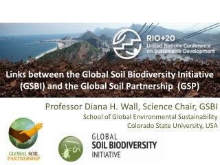 SOIL BIODIVERSITY PROVIDES ECOSYSTEM SERVICES