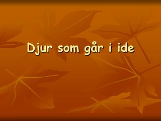 djur som g r i ide