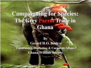 Campaigning for Species: The Grey Parrot Trade in Ghana