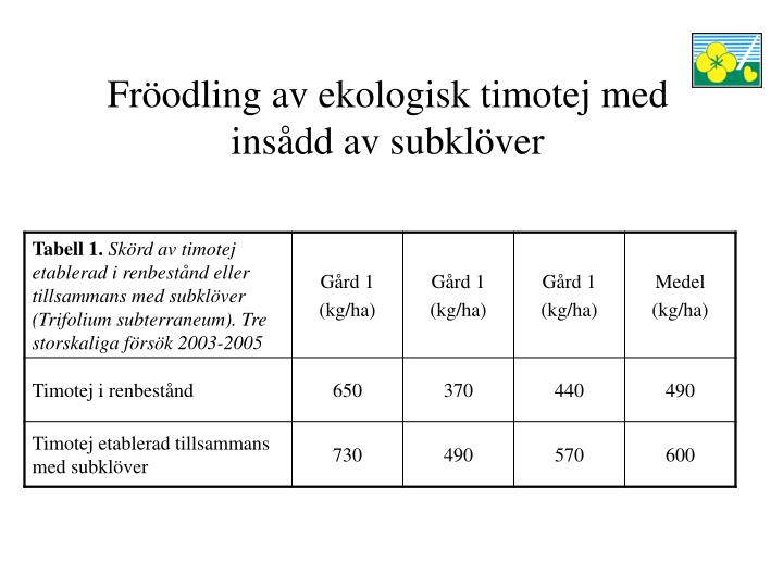 fr odling av ekologisk timotej med ins dd av subkl ver