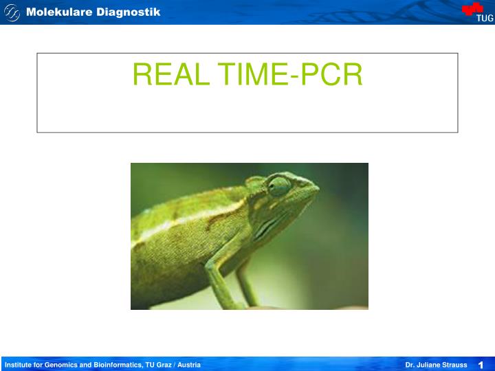 real time pcr