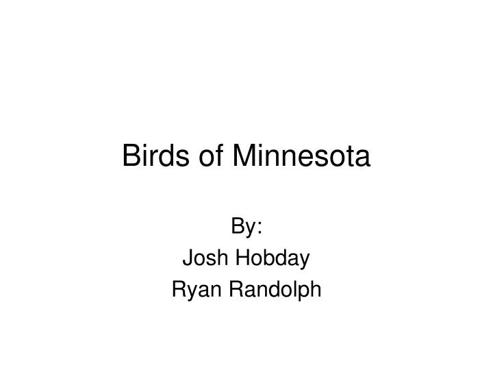 birds of minnesota