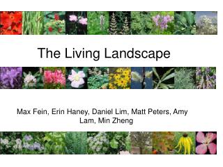 The Living Landscape