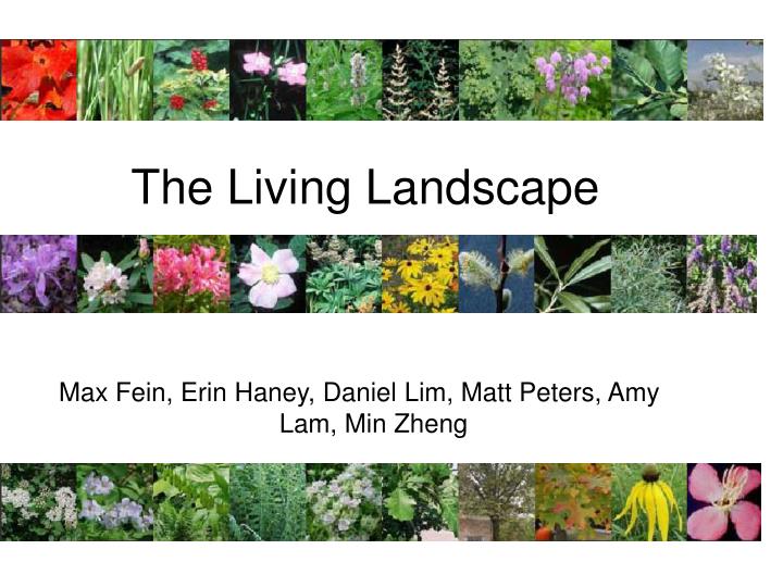 the living landscape