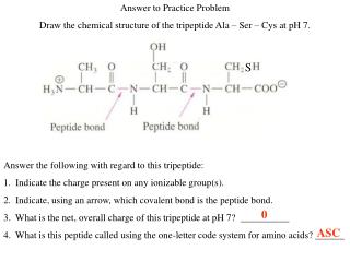 Answer to Practice Problem