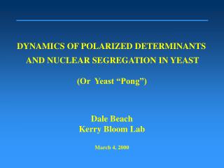 DYNAMICS OF POLARIZED DETERMINANTS AND NUCLEAR SEGREGATION IN YEAST