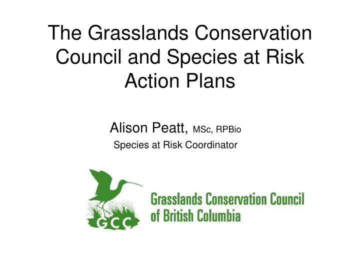 the grasslands conservation council and species at risk action plans