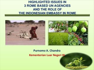Highlighted issues in 3 Rome based UN Agencies AND THE ROLE OF THE INDONESIAN EMBASSY IN ROME