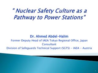 &quot; Nuclear Safety Culture as a Pathway to Power Stations&quot;