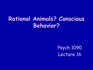 Rational Animals? Conscious Behavior?