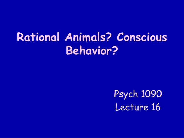 rational animals conscious behavior
