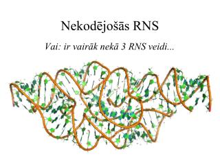 nekod jo s rns