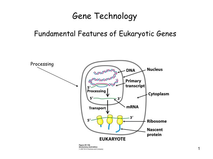 gene technology