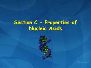 Section C - Properties of Nucleic Acids