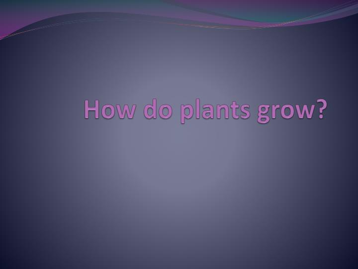 how do plants grow