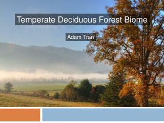 Temperate Deciduous Forest Biome