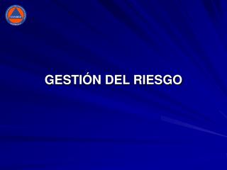 gesti n del riesgo