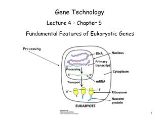 Gene Technology