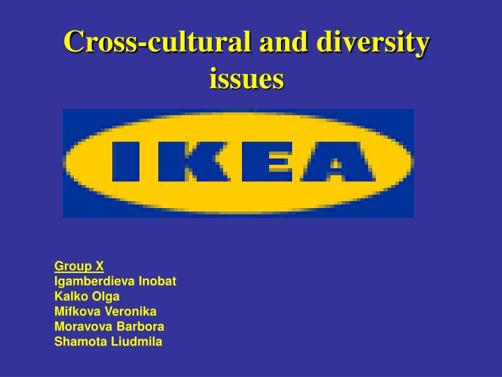 cross cultural and diversity issues