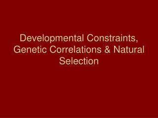 Developmental Constraints, Genetic Correlations &amp; Natural Selection