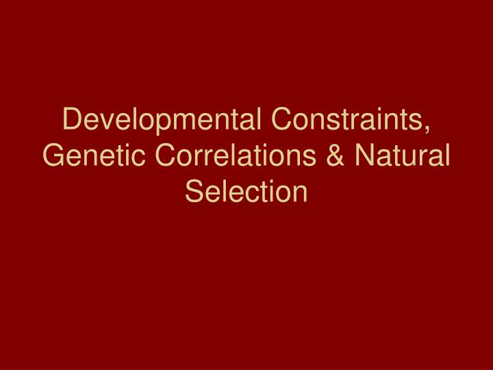 developmental constraints genetic correlations natural selection