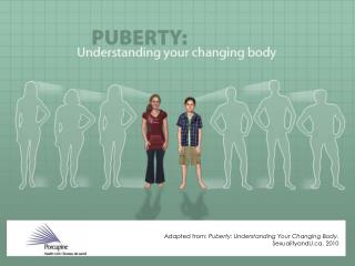 Adapted from: Puberty: Understanding Your Changing Body. SexualityandU, 2010