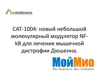 1004 nf kb