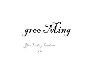 groo ming