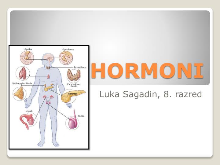 hormoni