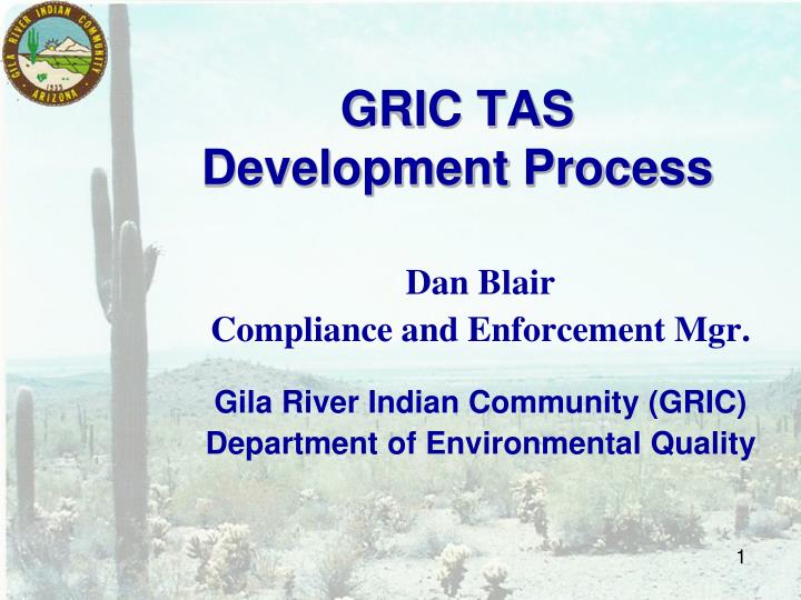 gric tas development process