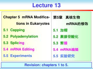 lecture 13