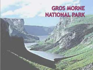 GROS MORNE national park