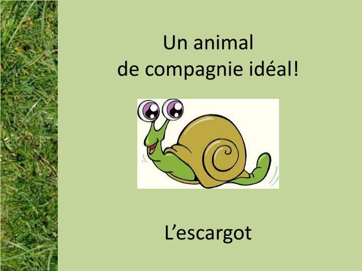 un animal de compagnie id al