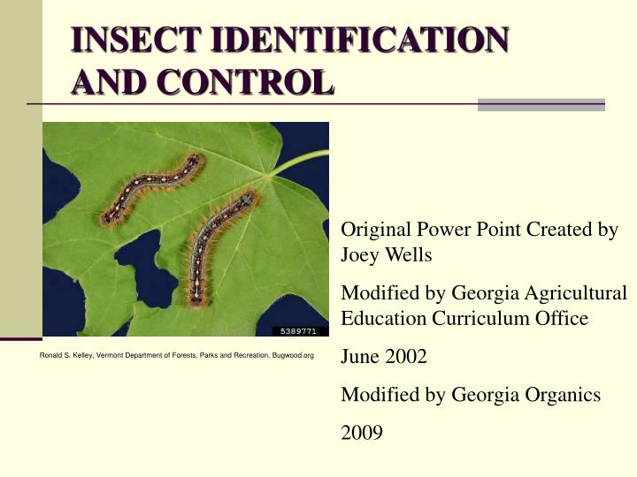 insect identification and control