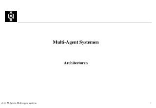 Multi-Agent Systemen Architecturen