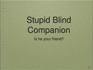 Stupid Blind Companion