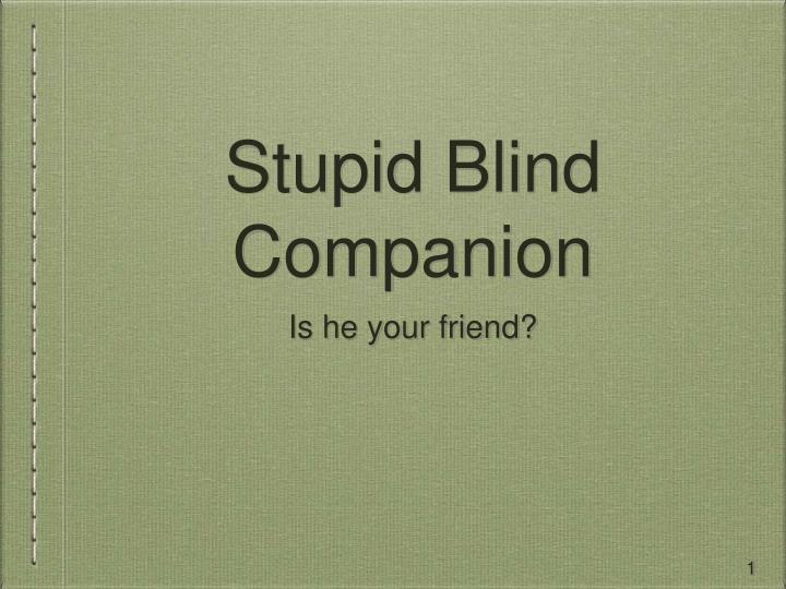 stupid blind companion