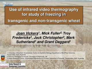 Use of infrared video thermography for study of freezing in transgenic and non-transgenic wheat