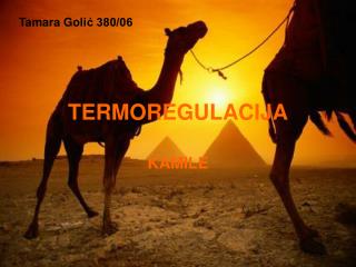 termoregulacija
