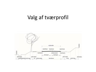 valg af tv rprofil