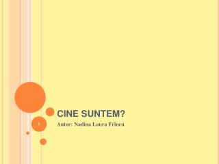 cine suntem