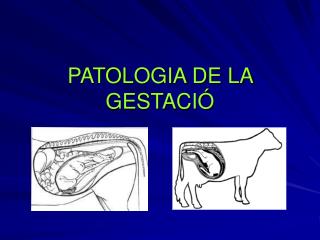 patologia de la gestaci