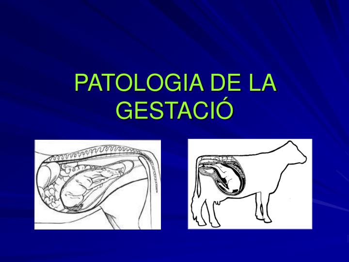 patologia de la gestaci