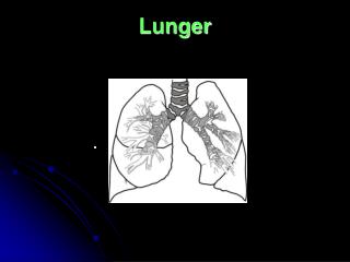 lunger