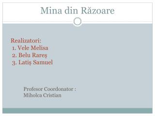 mina din r zoare
