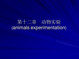 animals experimentation