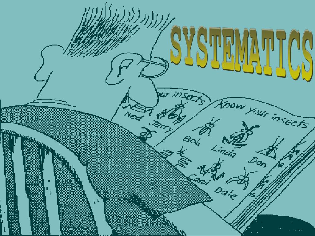 PPT - SYSTEMATICS PowerPoint Presentation, free download - ID:3584189