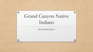 Grand Canyon Native Indians