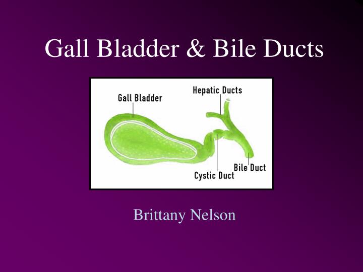 gall bladder bile ducts